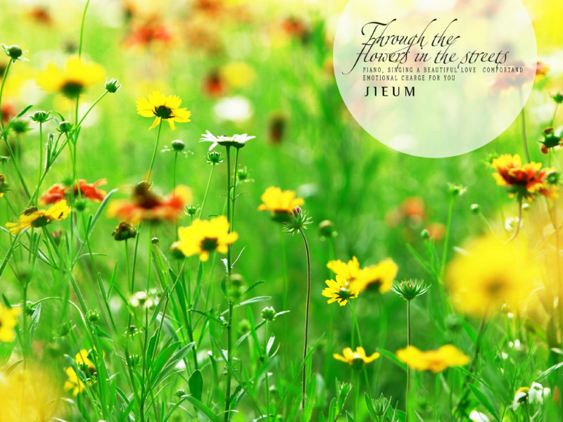 Through the flowers on the street (Single)