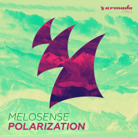 Polarization (Single)