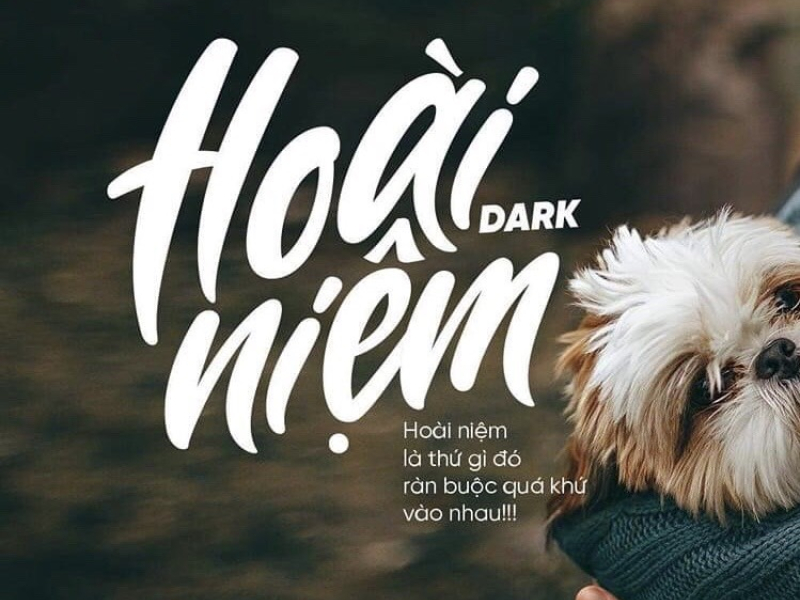 Hoài Niệm (Single)