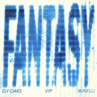 Fantasy (VIP Remix) (Single)