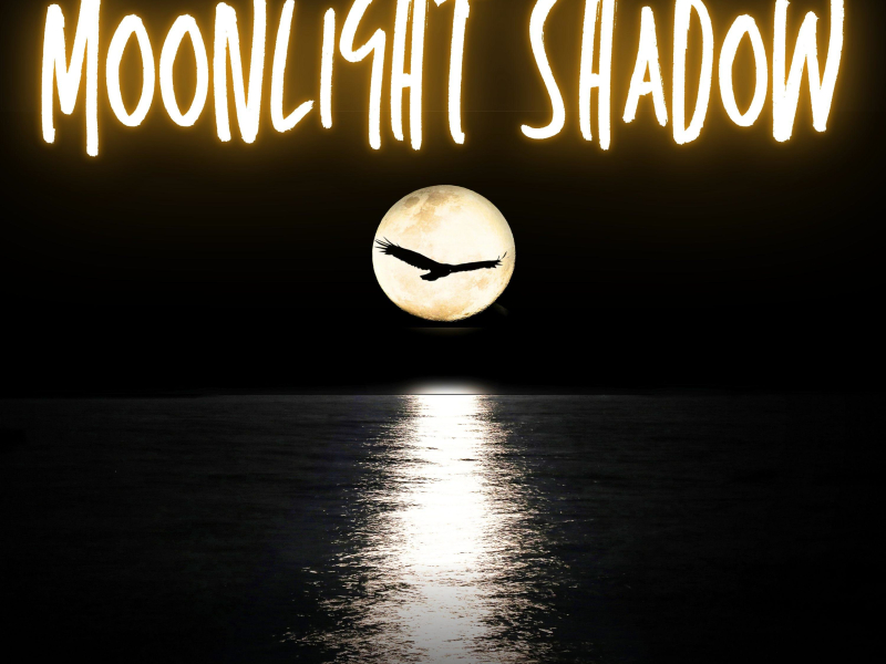 Moonlight Shadow (EP)