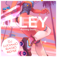 Burning Down (DJ Luciano Radio Remix) (Single)