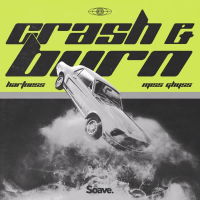 Crash & Burn (Single)
