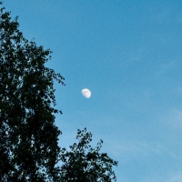 follow the wind (Single)