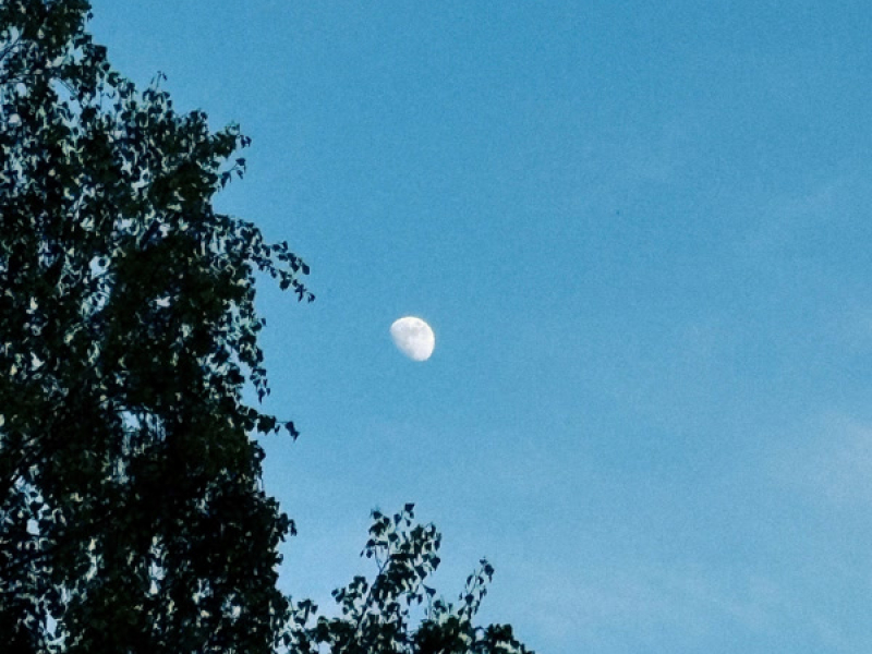 follow the wind (Single)