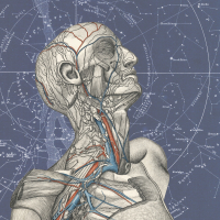 Outside the Lines (Single)