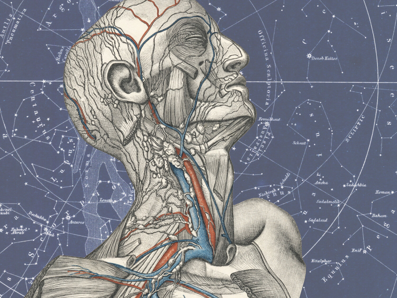 Outside the Lines (Single)