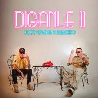 DIGANLE II (Single)