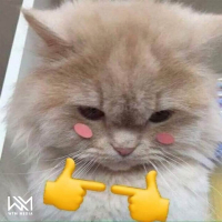 Nắm Tay Nàng (Single)