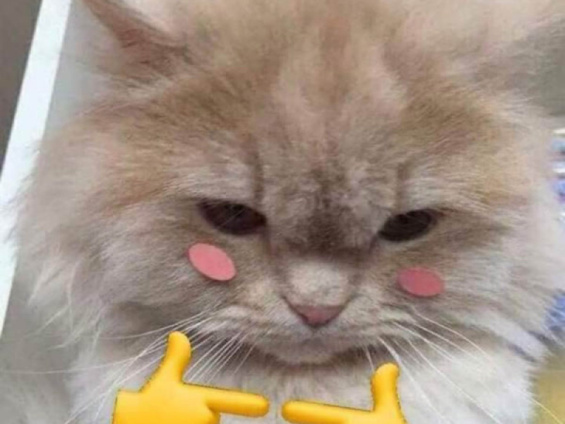 Nắm Tay Nàng (Single)