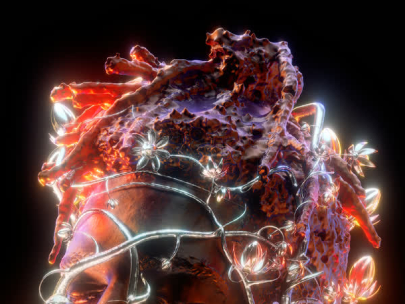 Sign of the Times II