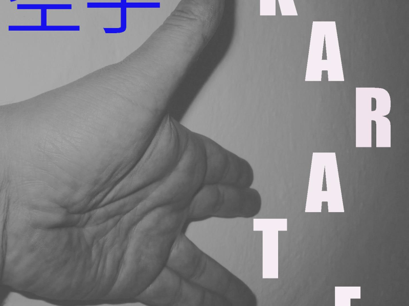 Musique pour Karaté Vol. 7 (Single)