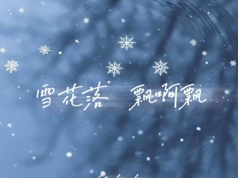 雪花落 飘啊飘 (Single)