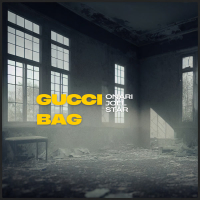 Gucci Bag (Single)