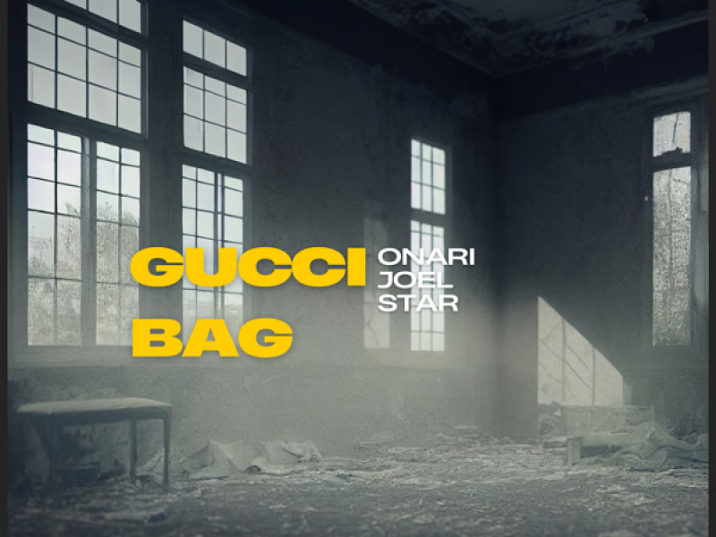 Gucci Bag (Single)