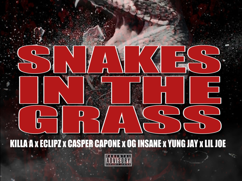 Snake in the Grass (feat. Eclipz, OG Insane, Lil Joe & Yung Jay)