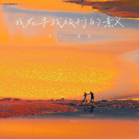 我在寻找旅行的意义 (Single)