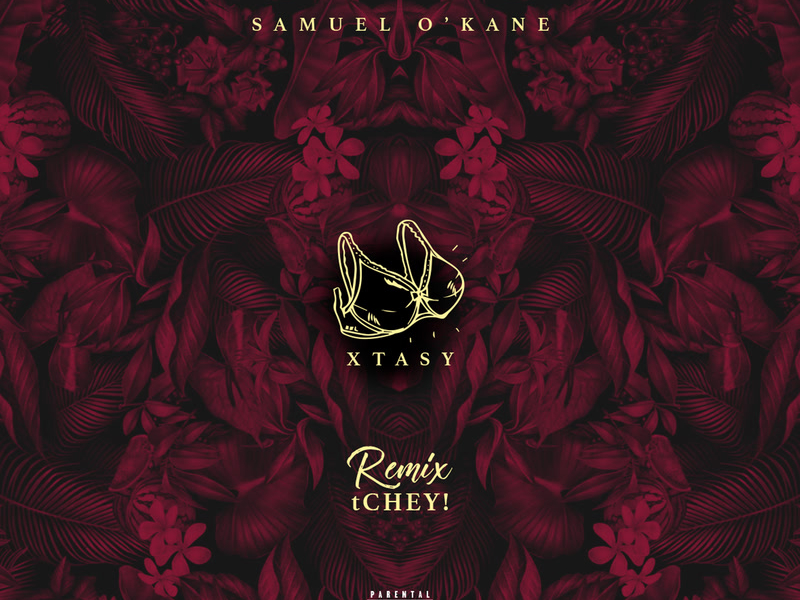 Xtasy (Remix tCHEY!) (Single)