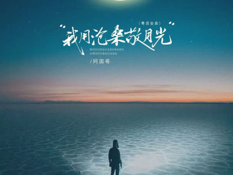 我用沧桑敬月光 (粤语金曲) (EP)