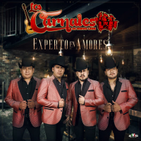Experto en Amores (Single)