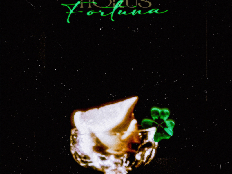 Fortuna (Single)