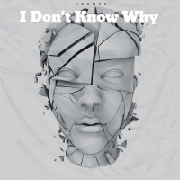 I Don't Know Why (Single)