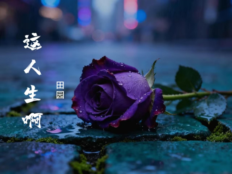 这人生啊 (Single)