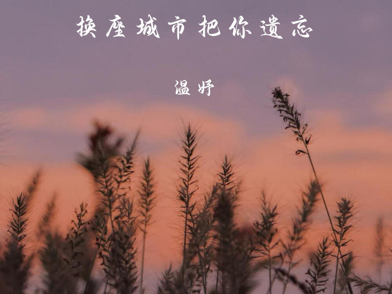 换座城市把你遗忘 (Single)