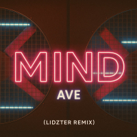 MIND (LIDZTER Remix) (Single)