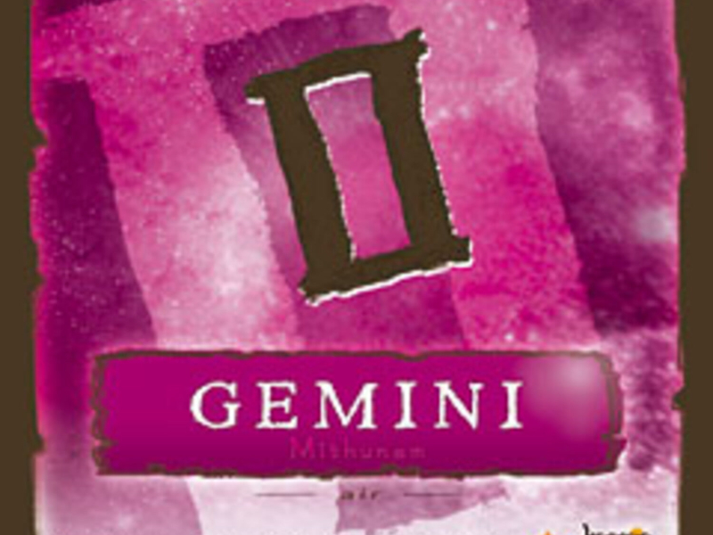 Zodiac Series:  Gemini