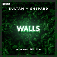 Walls (Single)