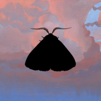 Romeo (HANA Remix) (Single)