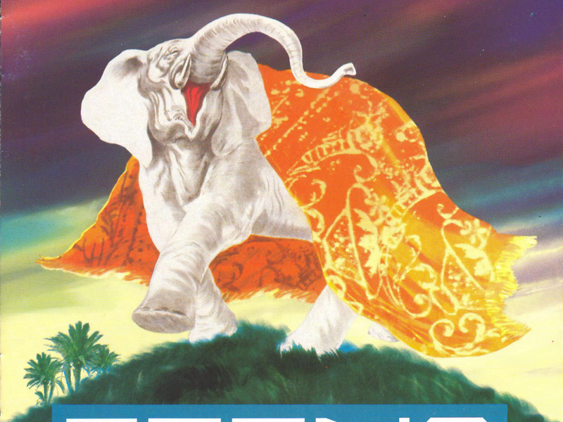 Siamo Tutti Elefanti Inventati