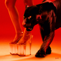 Taboo (feat. Tobii) (Single)