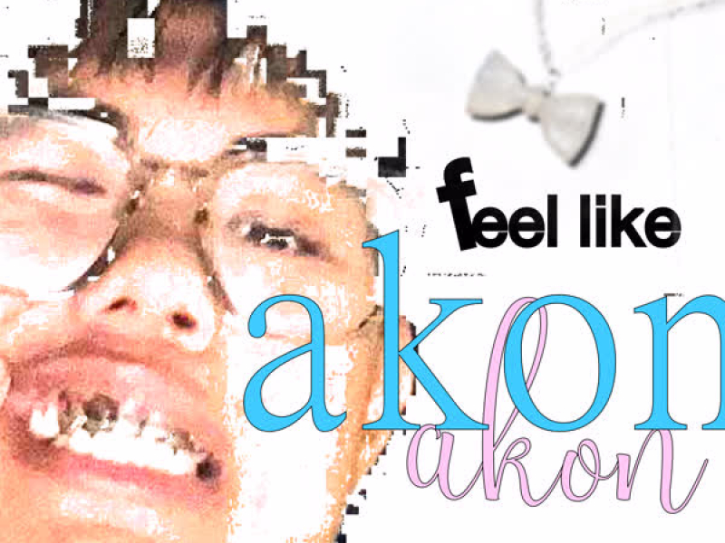 Feel Like Akon (Single)