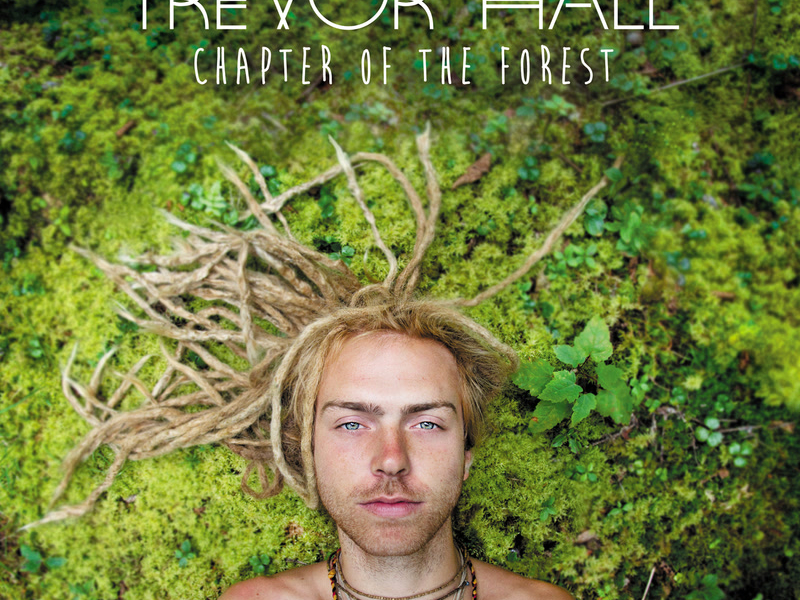 Chapter Of The Forest
