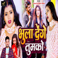 Bhula Denge Tumko (Single)