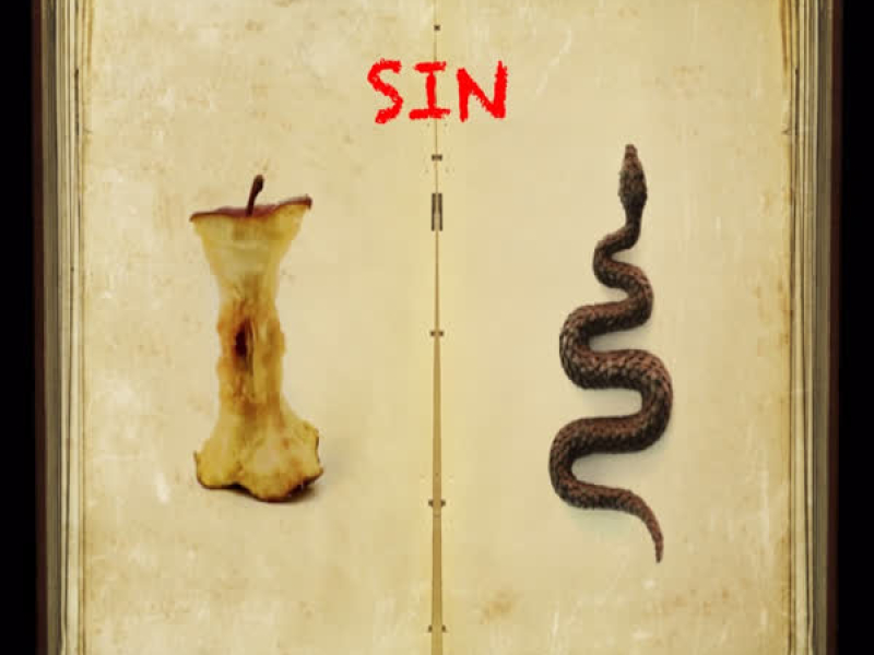 Sin (Single)