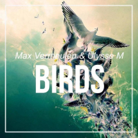 Birds (Single)