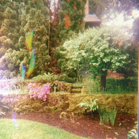 i can see you in everything (Single)