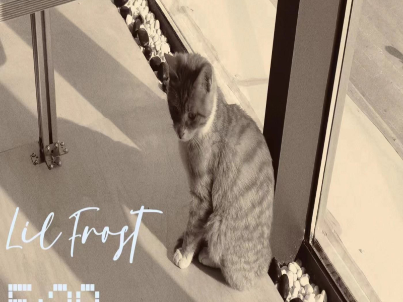 5:38（Explicit）-Lil Frost (Single)