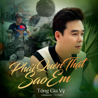 Phải Quên Thật Sao Em (Single)