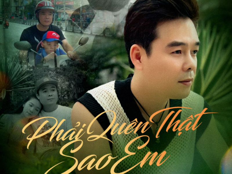 Phải Quên Thật Sao Em (Single)