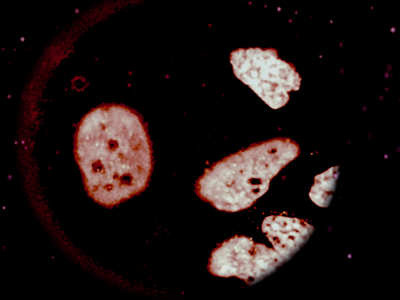 Between Worlds (Single)