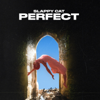 Perfect (Single)