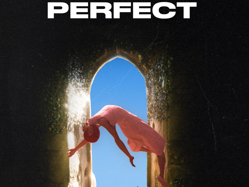 Perfect (Single)