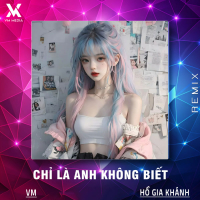 Chỉ Là Anh Không Biết (Remix Style Huy PT) (Single)