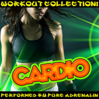 Workout Collection: Cardio