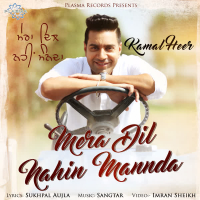 Mera Dil Nahin Mannda (Single)