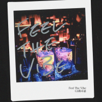 Feel The Vibe (Single)